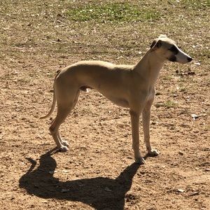 Meet your Posher, Emilio